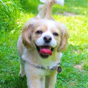 Meet your Posher, Cait